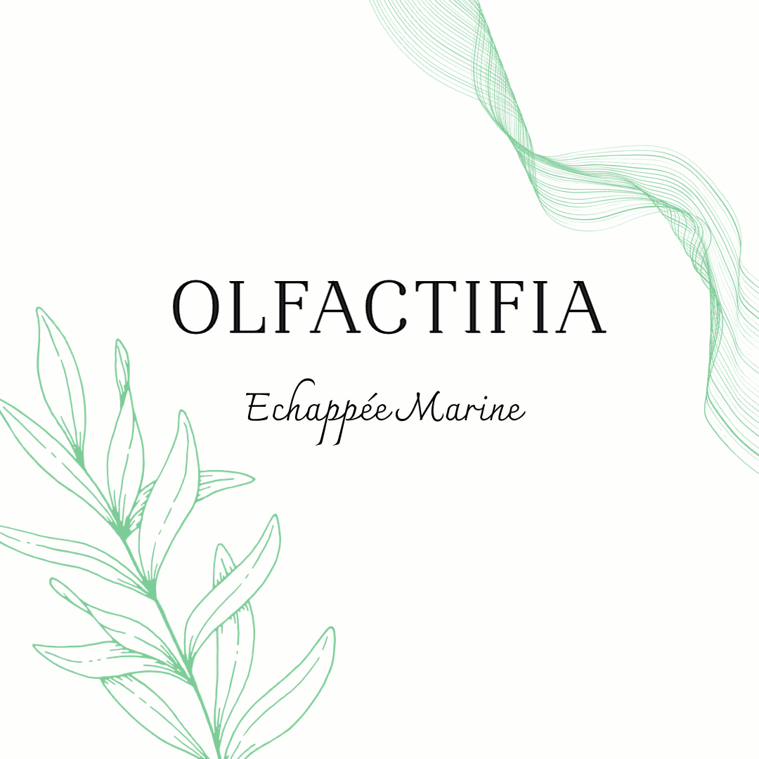 Echappée Marine Olfactifia